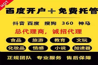 搜索引擎营销（SEM）优化全攻略：成功案例解析